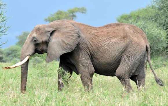 Kamuku national park, Kaduna