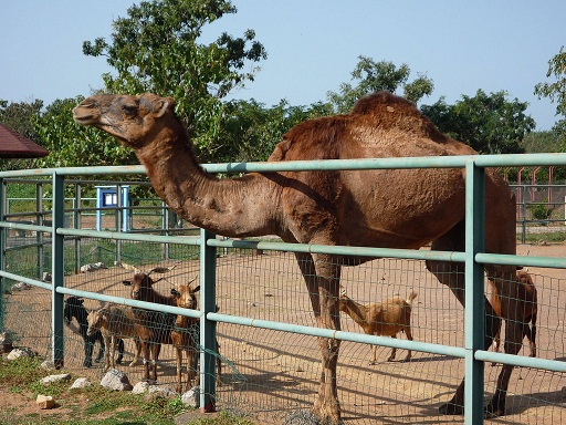 National children's park and zoo abuja