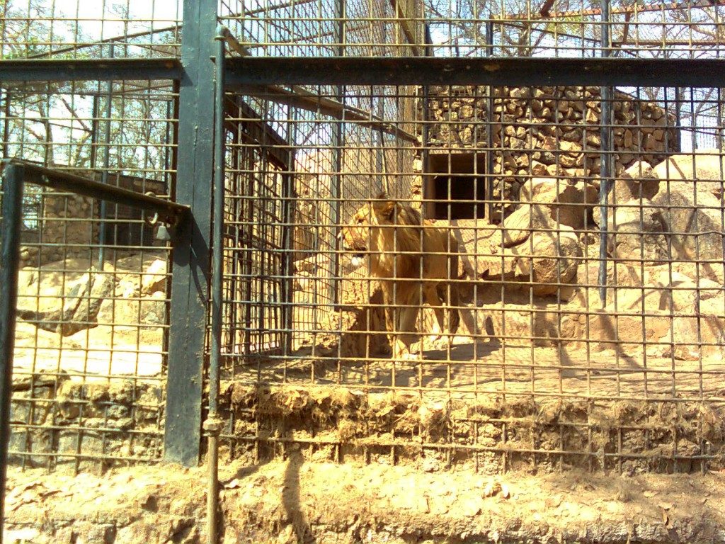 Audu Bako zoo, zoos in Nigeria