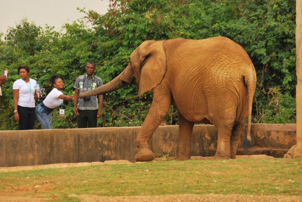 Jos wildlife park zoos in Nigeria