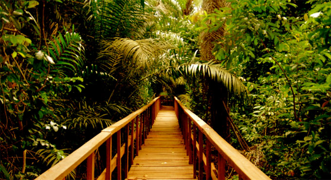 Lekki conservation centre, lagos