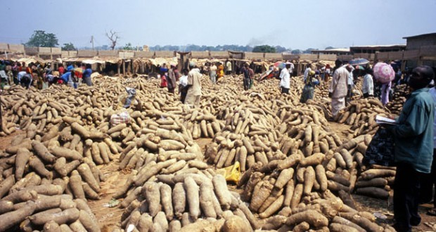 Zaki Biam Yam Market