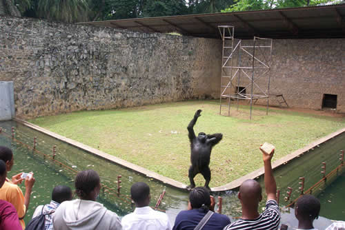 The Zoo, Ibadan-hotels.ng