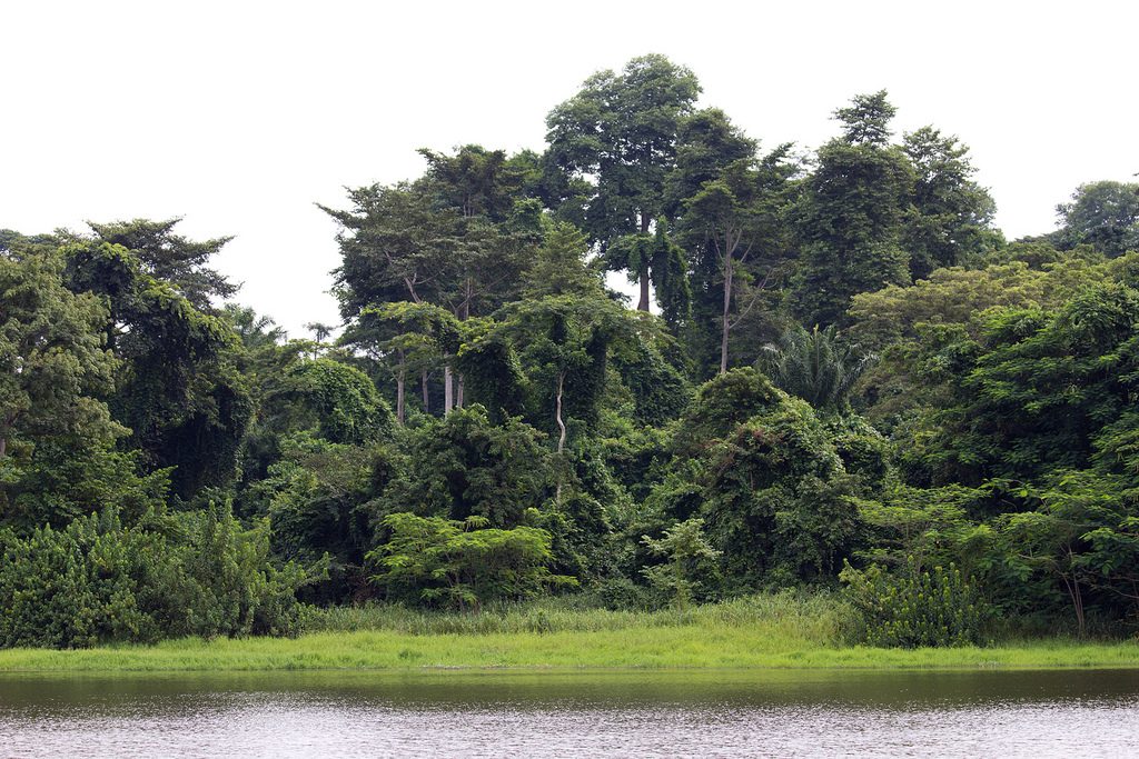 iita-forest-ibadan-hotels.ng