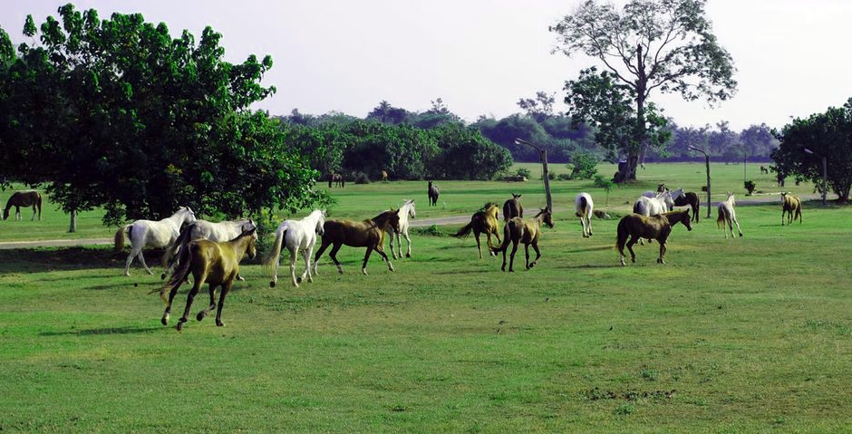 Águas Quentes Country Club: A Other in Dorândia - Thrillist