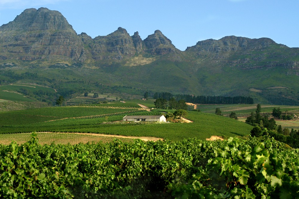 Cape Winelands, South Africa - Hotels.ng