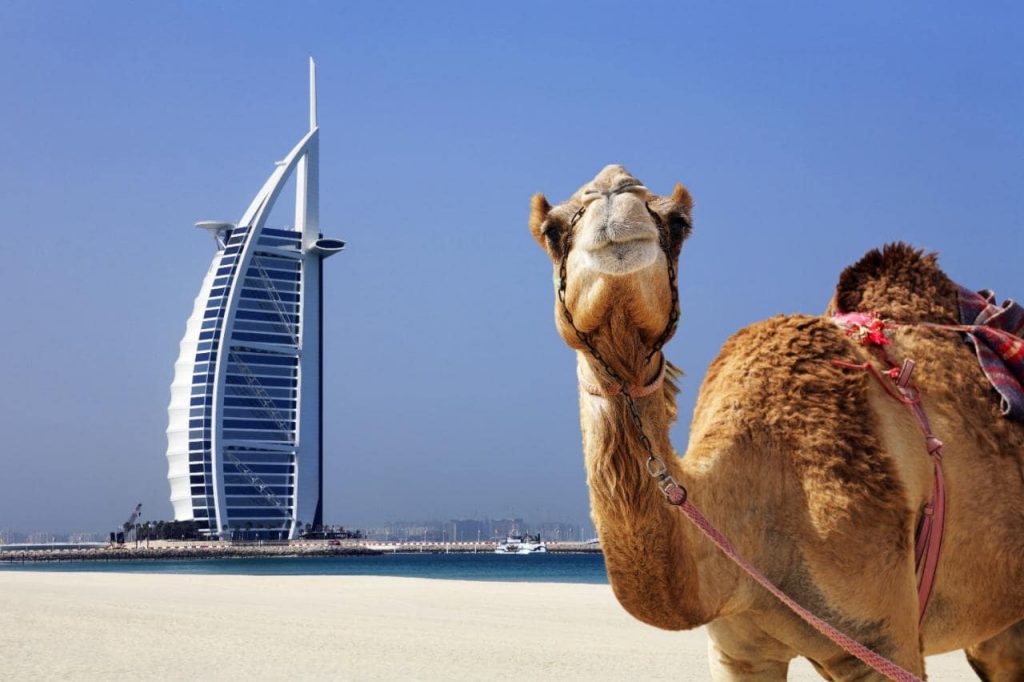 Dubai-View of the Burj-hotels.ng