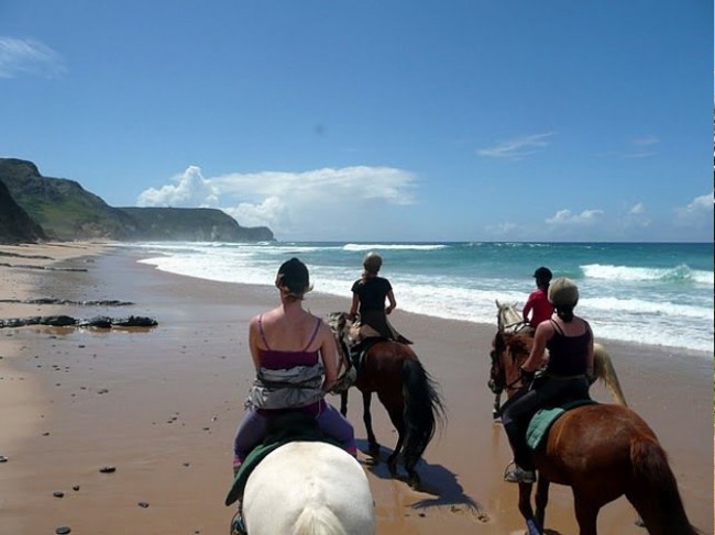 Horse Riding on the Beach-hotels.ng