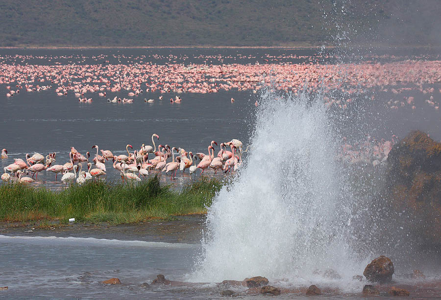 Lake Bogoria, Kenya - Hotels.ng