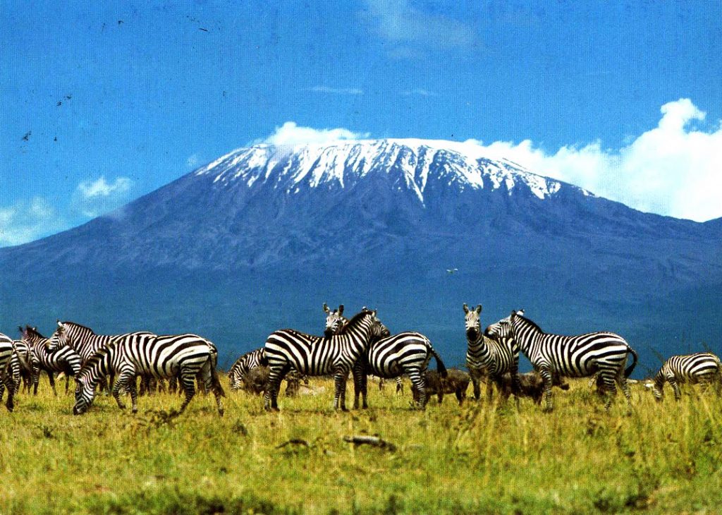 Mount Kilimanjaro - Hotels.ng