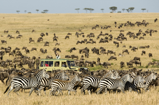 Serengeti National Park, Tanzania - Hotels.ng