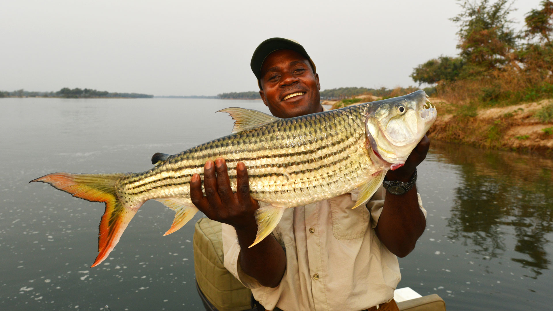 Tiger fishing at Lake Kariba - Hotels.ng