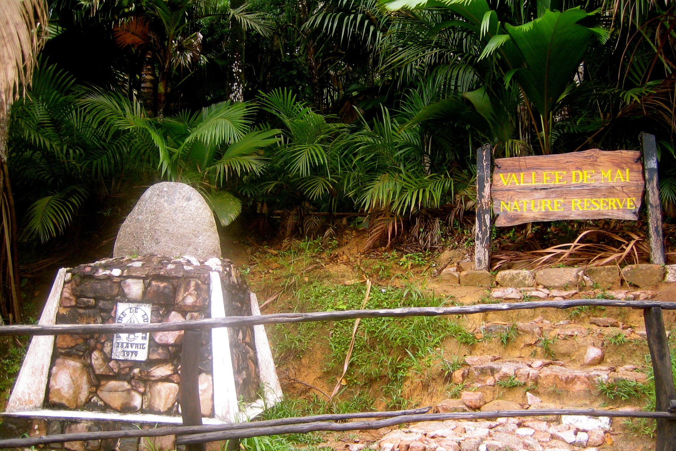 Vallee de mai, Seychelles - Hotels.ng