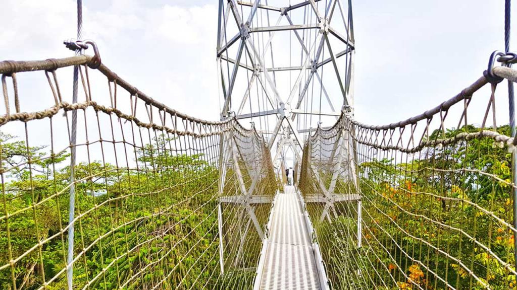 Lekki Conservation Centre Canopy walk