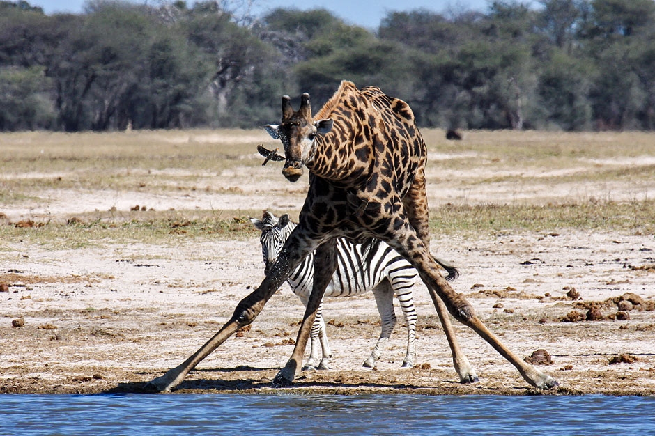 Hwange National Park, Zimbabwe - Hotel.ng