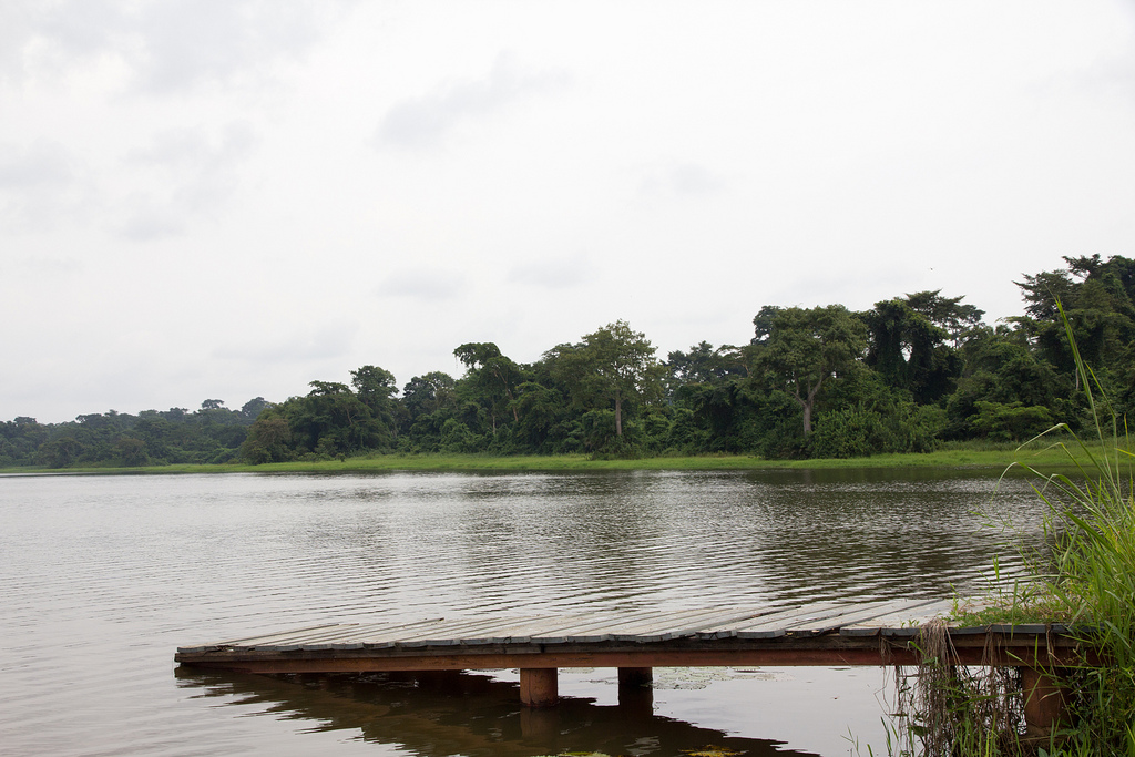 IITA-forest-reserve-hotels.ng