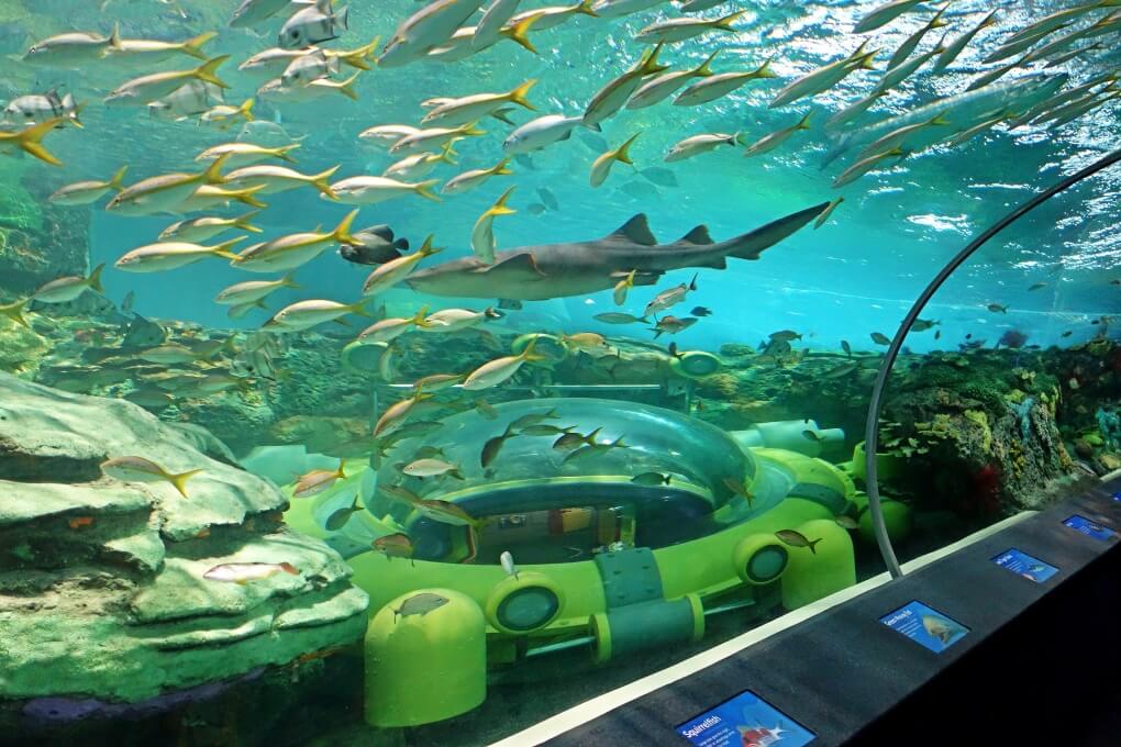 aquarium-hotels.ng