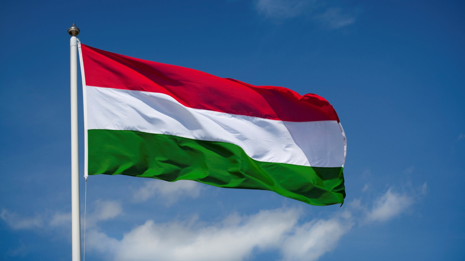 Immigrating to Hungary from Nigeria