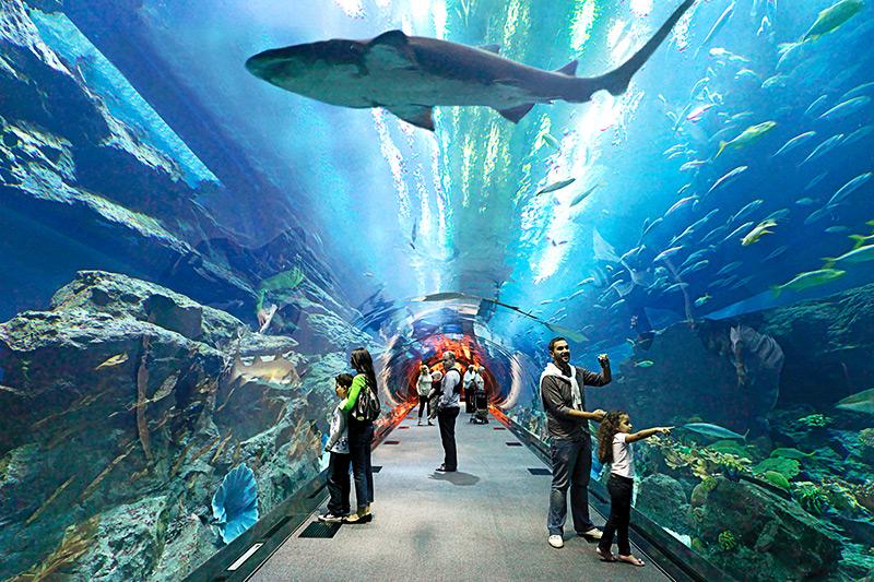 Cheapest countries Nigerians can visit for tourism : Dubai underwater aquarium