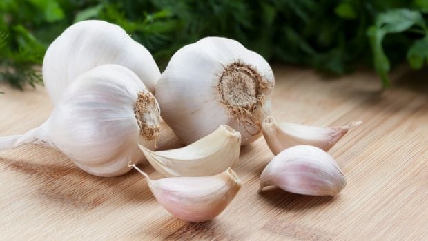 image result for garlic