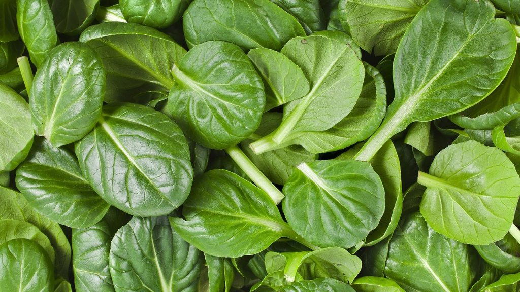 image result showing for spinach leaves